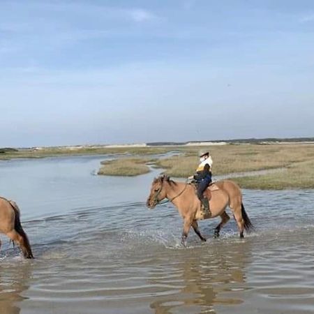 Fort-Mahon : Superbe T2 A 2 Pas De La Plage Avec Parking Prive - Fr-1-482-15 Zewnętrze zdjęcie