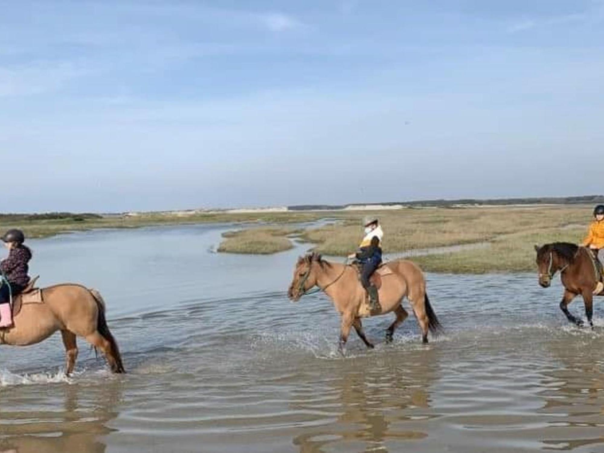 Fort-Mahon : Superbe T2 A 2 Pas De La Plage Avec Parking Prive - Fr-1-482-15 Zewnętrze zdjęcie